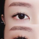 원 바이 원 티스토리