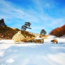 수천목장 이미지