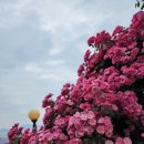 내리몽바닷가 | 강화도펜션 분위기 끝판왕 &lt;내리몽 바닷가 펜션&gt;