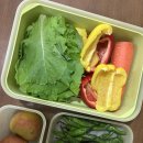 스마트프레쉬 | 락앤락 스마트킵 프레쉬 밀폐용기 1개월 사용 후기