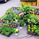 선산시장 화장실 이미지