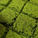 건강아름드리 이미지