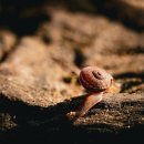 신백중학교 이미지