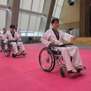 영킴스태권도 이미지