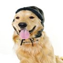 25시동물병원 이미지