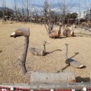 작은 동물원 이미지