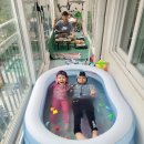 둔산초등학교 이미지