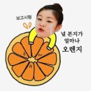 주먹밥 이야기 네이버블로그