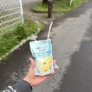 세븐일레븐 울산휴먼블루점 | 도쿄여행 2일차