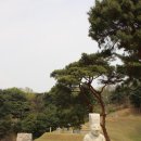 장원피혁 | 포은 정몽주와 저헌 이석형의 충절을 찾아