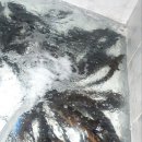 오늘도 장어 이미지