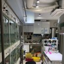 에버펫동물병원 이미지