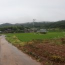 경운목장 이미지