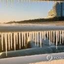 진해얼음