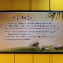 유성카센타 | [대전] 전민동 양꼬치 맛집, 회식 모임 핫플, 호래 양꼬치 메뉴, 식사 후기. (1 Star)