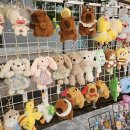 생생아파트 | 스케일이 남달랐던 고양 아파트 야시장 행사 규모 생생한 후기