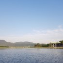 시장보리밥 이미지