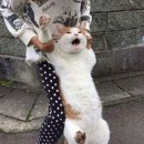 (주)제이오 이미지