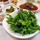 흙가든허브오리 이미지