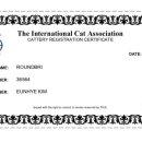 라운드브리(roundbri) 이미지