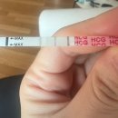 연분홍약국 이미지