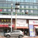 우리들 동물병원 이미지