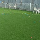 멍토피아 이미지