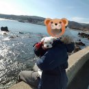 공원민박 이미지