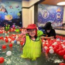 경희대석사경무태권도 이미지