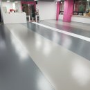 플레이독애견카페 이미지