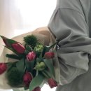 노바꽃집