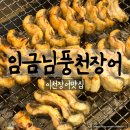 풍천장어 | 이천장어 임금님풍천장어 솔직후기