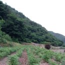 운호농장 이미지