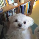 만수1동-10 이미지