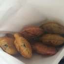 서구-01-55 이미지