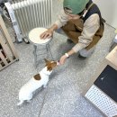 간식파는남자 이미지