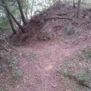 흥안주유소 이미지