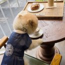 멍냥멍냥 미용실 이미지