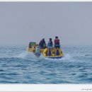 하저해수욕장 이미지