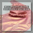 아이그루밍 | 헤디스그루밍 강아지 눈물 관리 필수템! 강아지 귀보호대 &amp; 세안보 미용용품 후기
