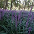 브이아이피여행사 이미지