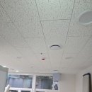 365소아청소년과의원 이미지