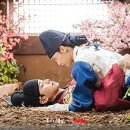 K-BIT, Little Prince 이미지