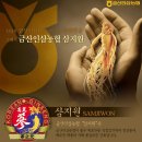 금산인삼농협 이미지