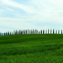 빌라 포지타노 이미지