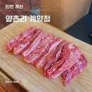 양촌리 | 계산동 맛집 계양구 맛집 한우 전문점 양촌리 계양점 내 돈 내산 솔직 후기