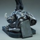 사이드쇼 이미지