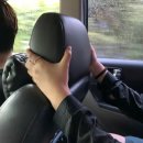 똥꼬들의 수다 이미지