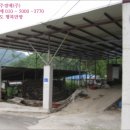 동림리(상동림) 네이버블로그