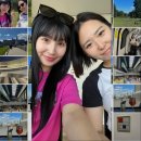 조이런민박 | 78일의 세 번째 유럽여행[런던3]